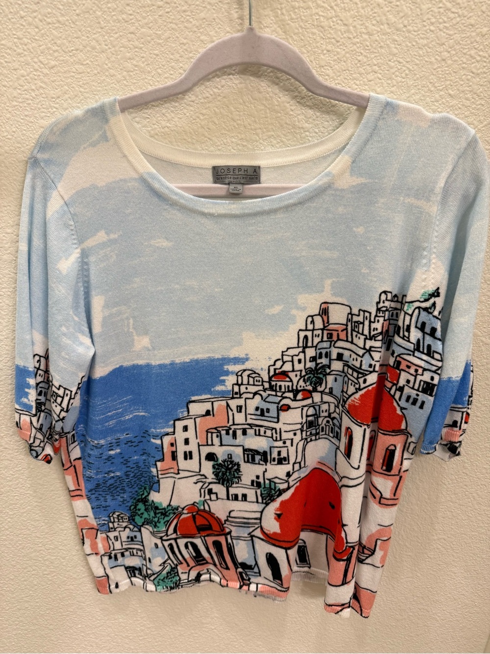 Joseph Short-Sleeve Scenic Print Tee in Light Blue, Red & Coral